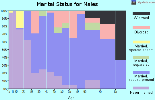 Zip code 27807 marital status for males