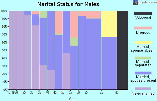 Zip code 27809 marital status for males
