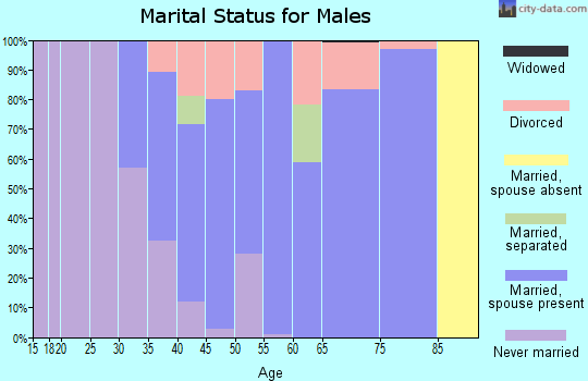 Zip code 27816 marital status for males