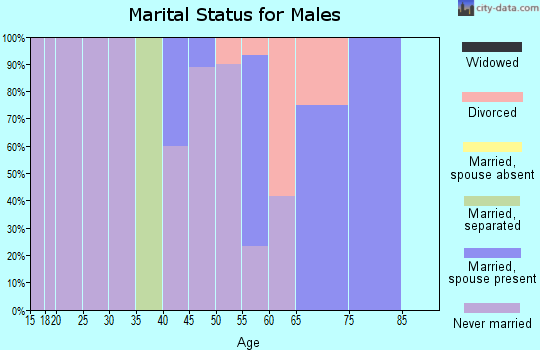 Zip code 27819 marital status for males