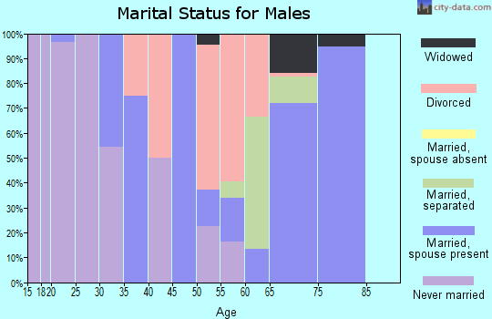 Zip code 27843 marital status for males
