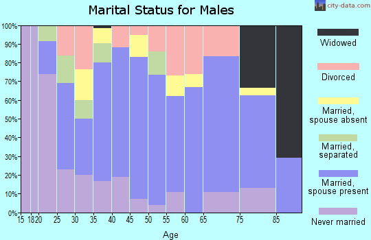 Zip code 27851 marital status for males