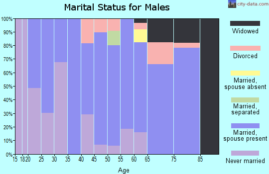 Zip code 27852 marital status for males