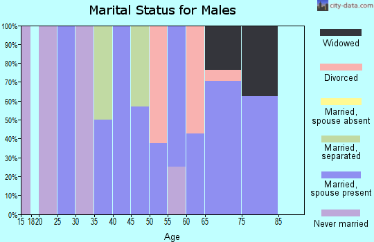 Zip code 27873 marital status for males
