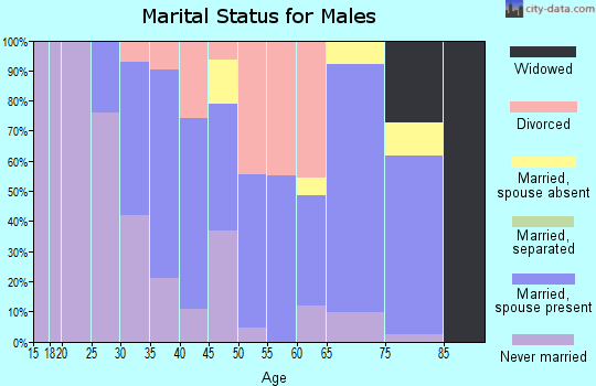 Zip code 27959 marital status for males