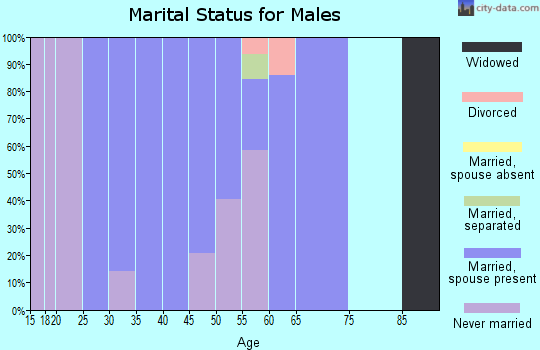 Zip code 27974 marital status for males