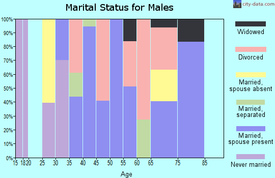 Zip code 27981 marital status for males