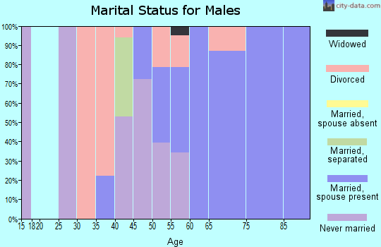 Zip code 28007 marital status for males