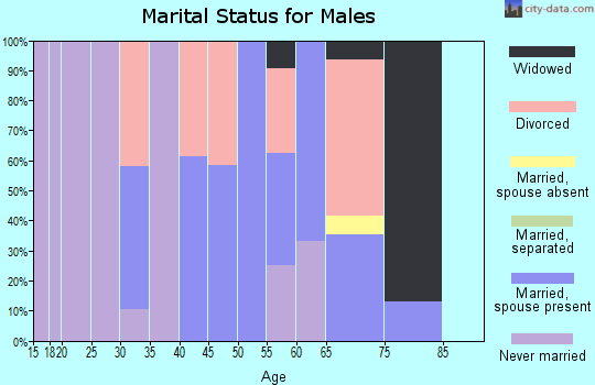 Zip code 28009 marital status for males