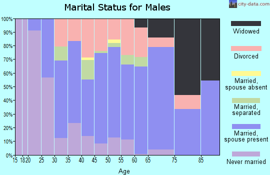 Zip code 28016 marital status for males