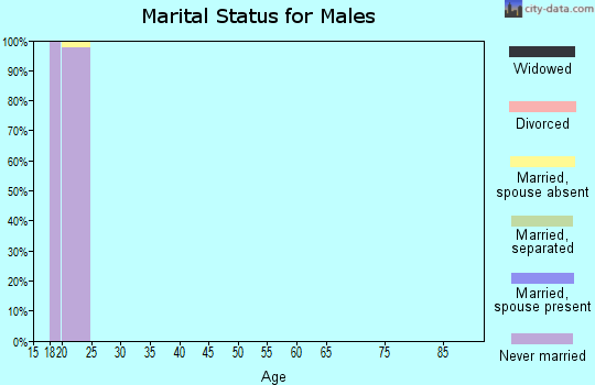 Zip code 28017 marital status for males