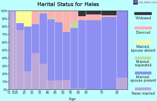 Zip code 28018 marital status for males