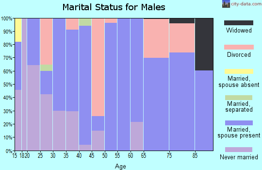 Zip code 28020 marital status for males