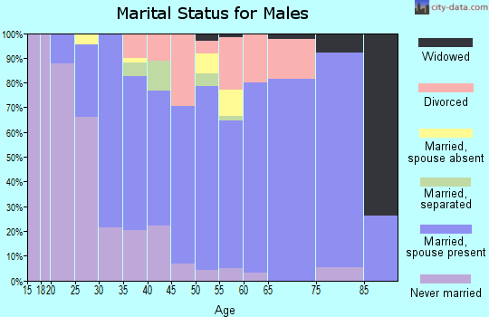 Zip code 28023 marital status for males