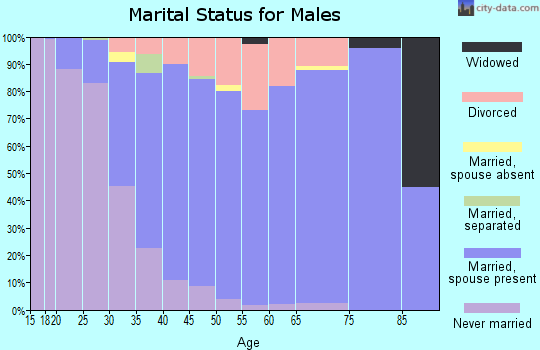 Zip code 28031 marital status for males
