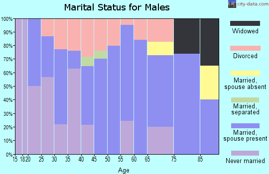 Zip code 28032 marital status for males