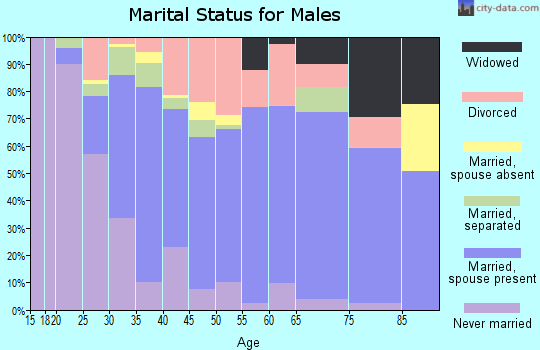 Zip code 28034 marital status for males