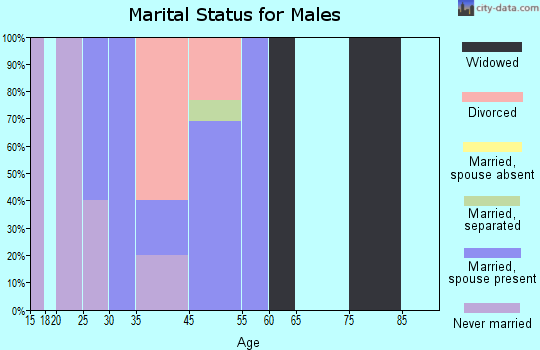 Zip code 28038 marital status for males