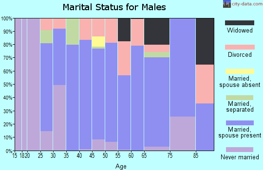 Zip code 28040 marital status for males