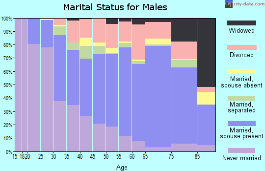Zip code 28054 marital status for males