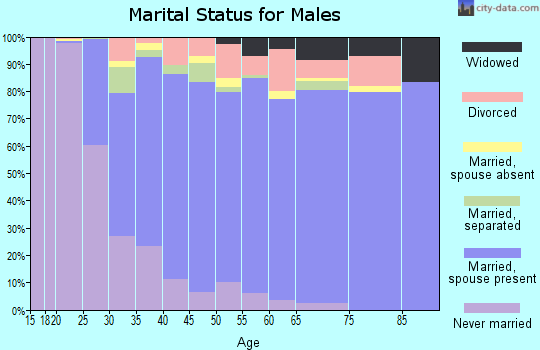 Zip code 28056 marital status for males