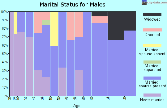 Zip code 28071 marital status for males