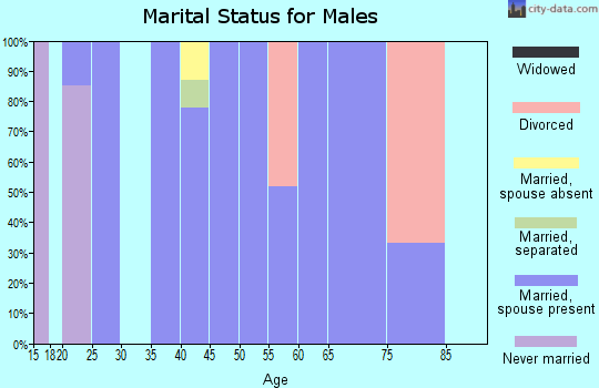 Zip code 28072 marital status for males