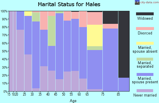 Zip code 28073 marital status for males