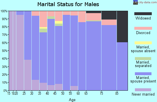 Zip code 28075 marital status for males