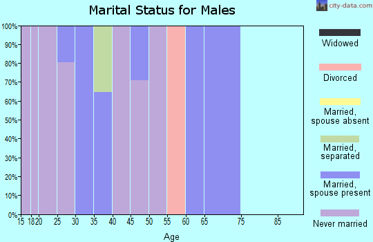 Zip code 28076 marital status for males