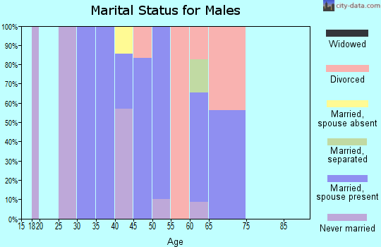 Zip code 28077 marital status for males