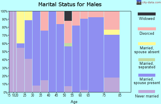 Zip code 28080 marital status for males