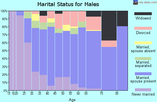Zip code 28081 marital status for males