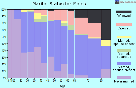 Zip code 28083 marital status for males