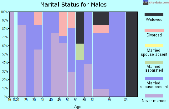 Zip code 28088 marital status for males