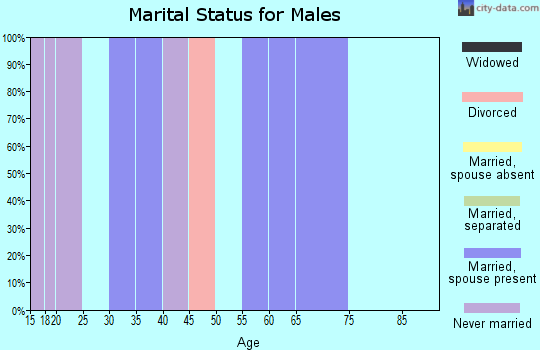 Zip code 28089 marital status for males