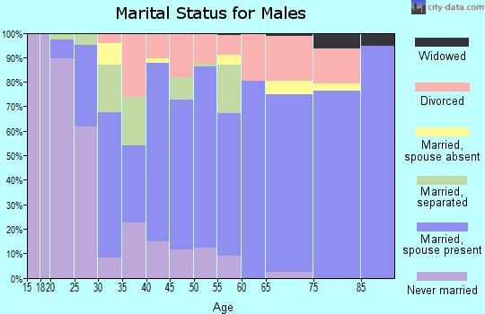 Zip code 28090 marital status for males