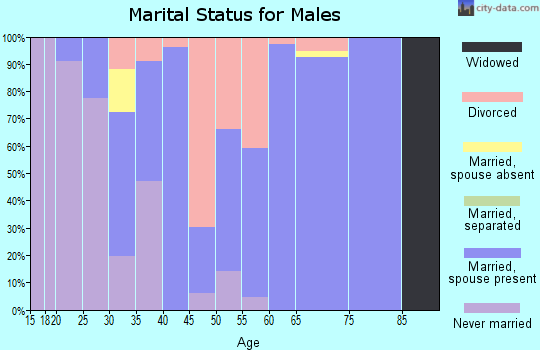 Zip code 28091 marital status for males