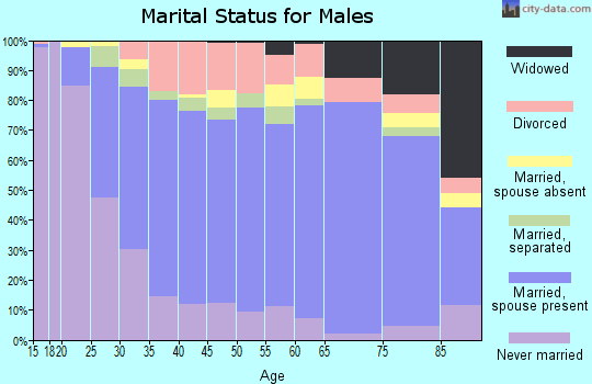 Zip code 28092 marital status for males