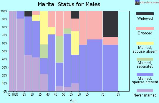 Zip code 28098 marital status for males