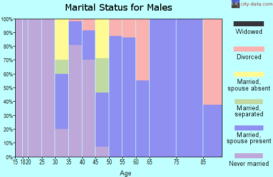 Zip code 28101 marital status for males