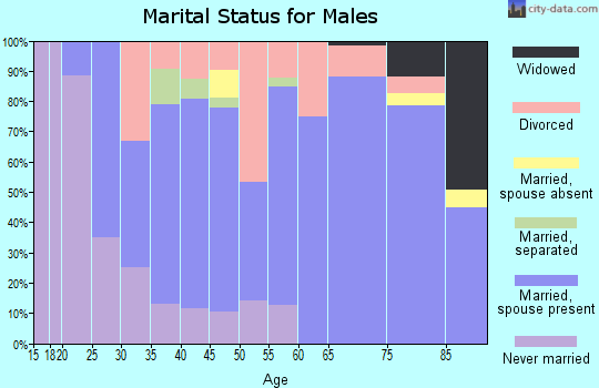 Zip code 28103 marital status for males