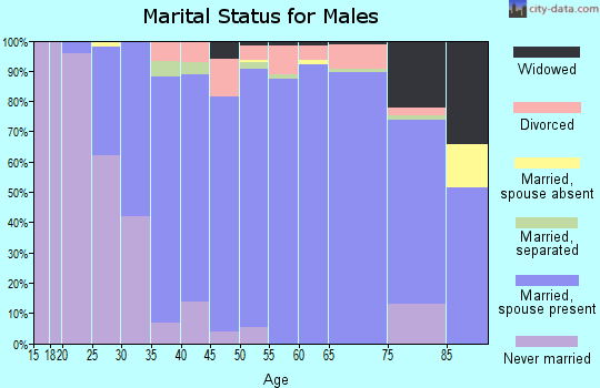 Zip code 28104 marital status for males