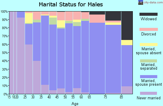 Zip code 28105 marital status for males