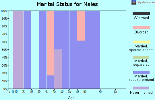 Zip code 28109 marital status for males