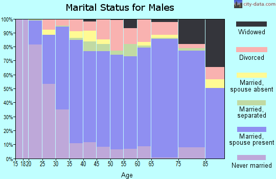 Zip code 28110 marital status