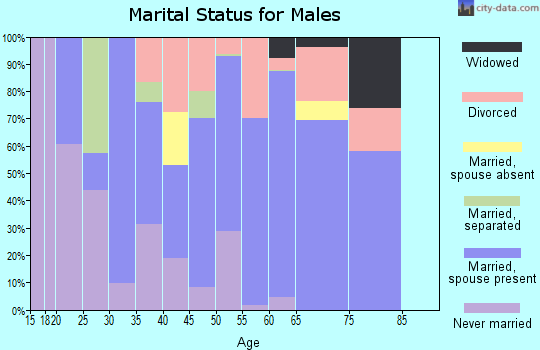 Zip code 28114 marital status for males