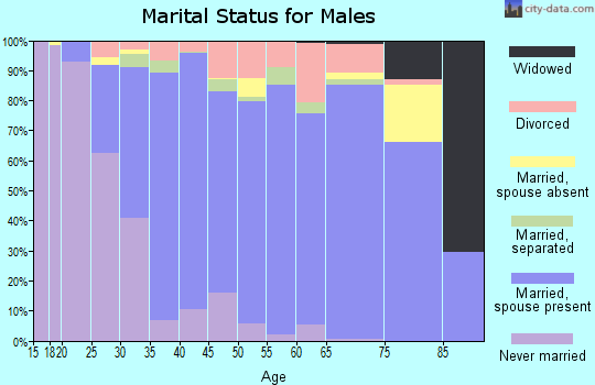 Zip code 28117 marital status for males