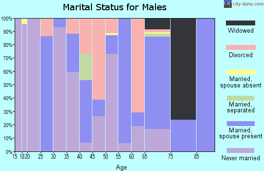 Zip code 28119 marital status for males