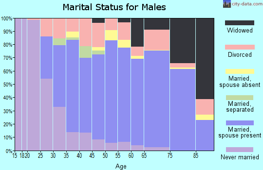 Zip code 28120 marital status for males